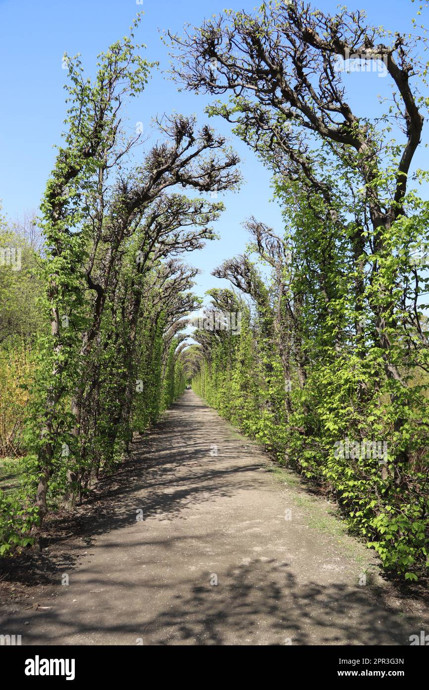 Schloss Schönbrunn Stockfoto