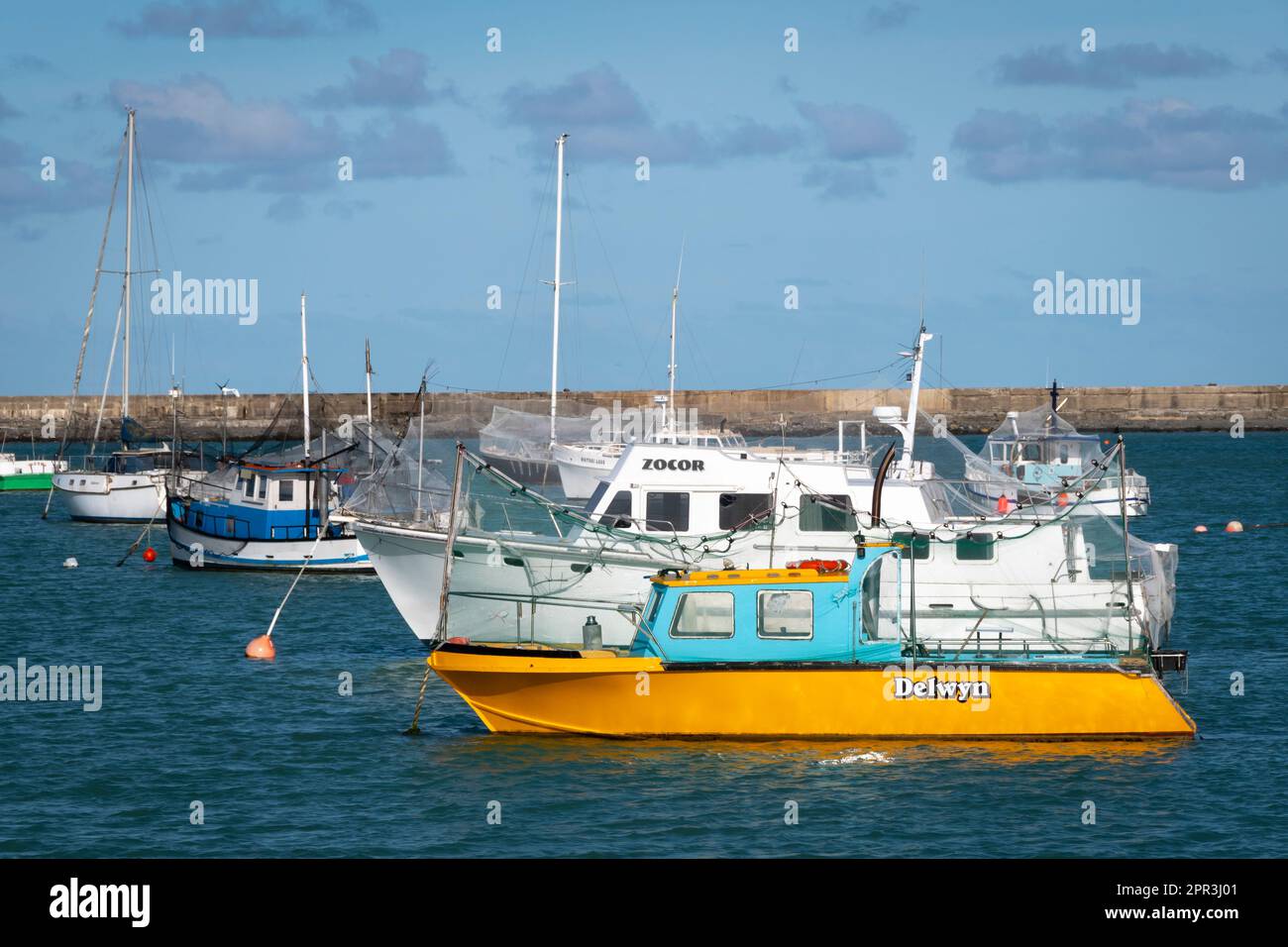 Boote im Hafen, Oamaru, Nord-Otago, Südinsel, Neuseeland Stockfoto