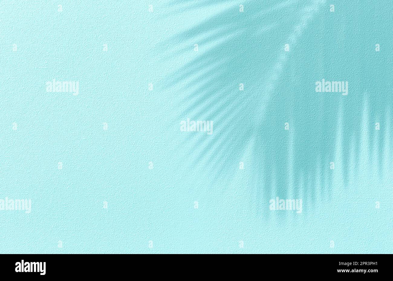 Panorama der Strukturwand mit Kokospalmen-Blattschatten auf türkisfarbenem Hintergrund. Sommer tropische Reise Strandkonzept. Flach liegend, pastellfarben, Handfläche natur Stockfoto
