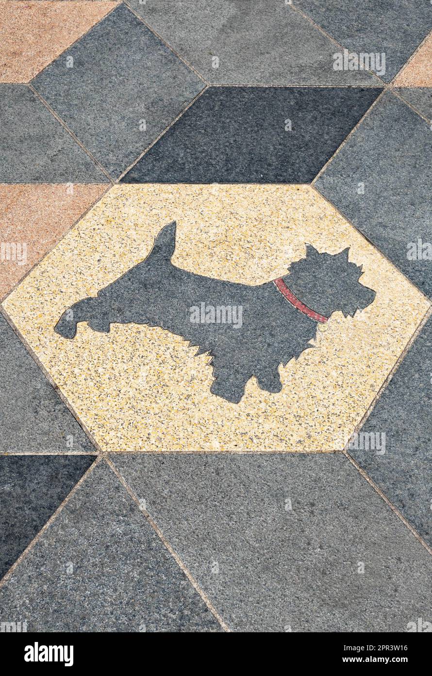 Toto, Dorothys Hund im Zauberer von Oz... Straßenkunst in Liverpool Stockfoto