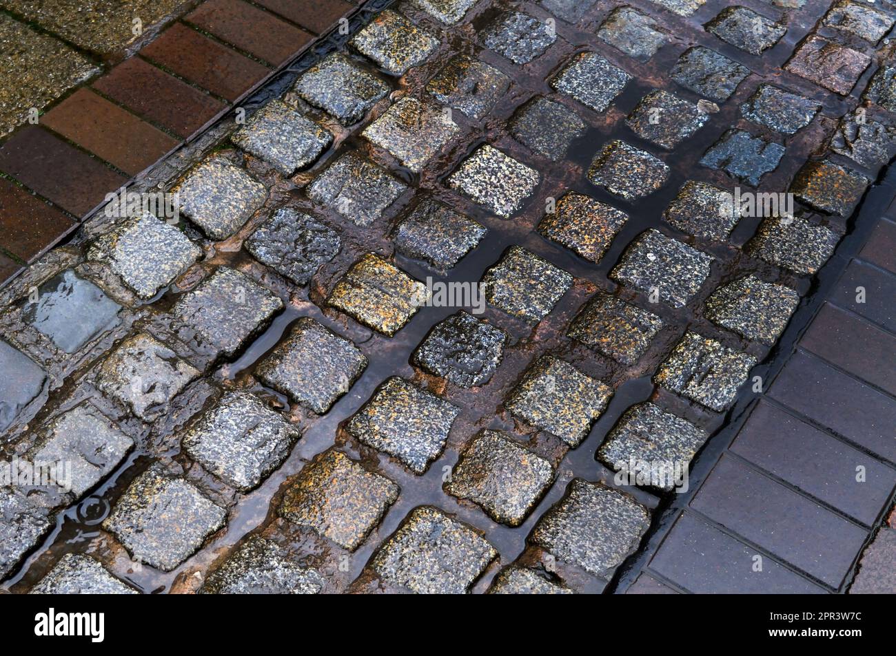 Nasse Pflastersteine Stockfoto