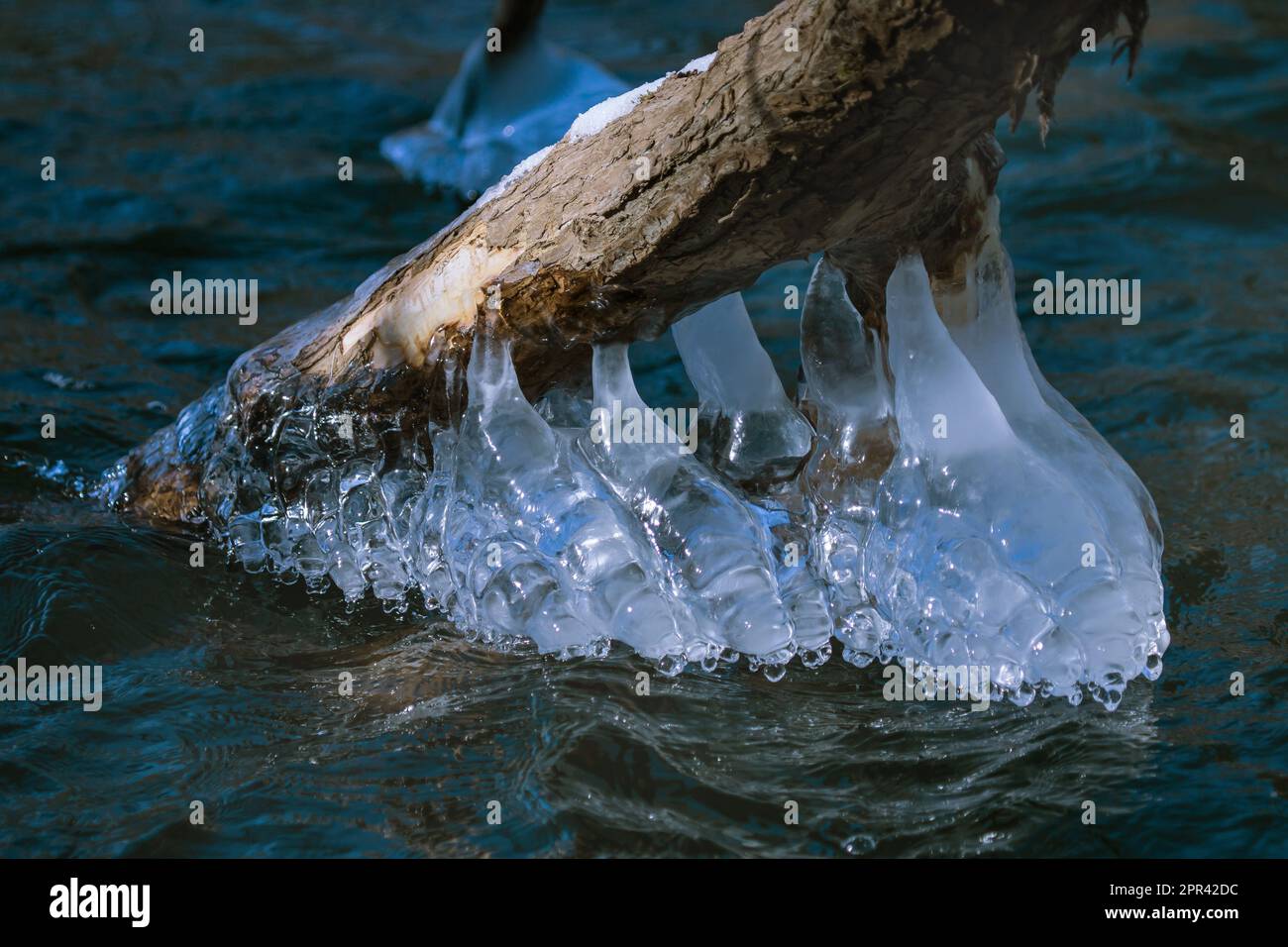 Eisstrukturen an der Wurzel im Wasser, Deutschland Stockfoto