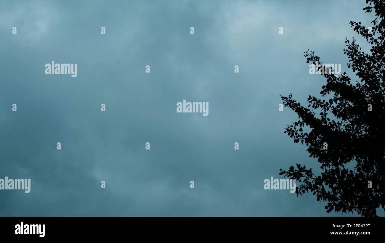 Dramatisch stürmischer, wolkiger Himmel und Baum im Hintergrund Stockfoto