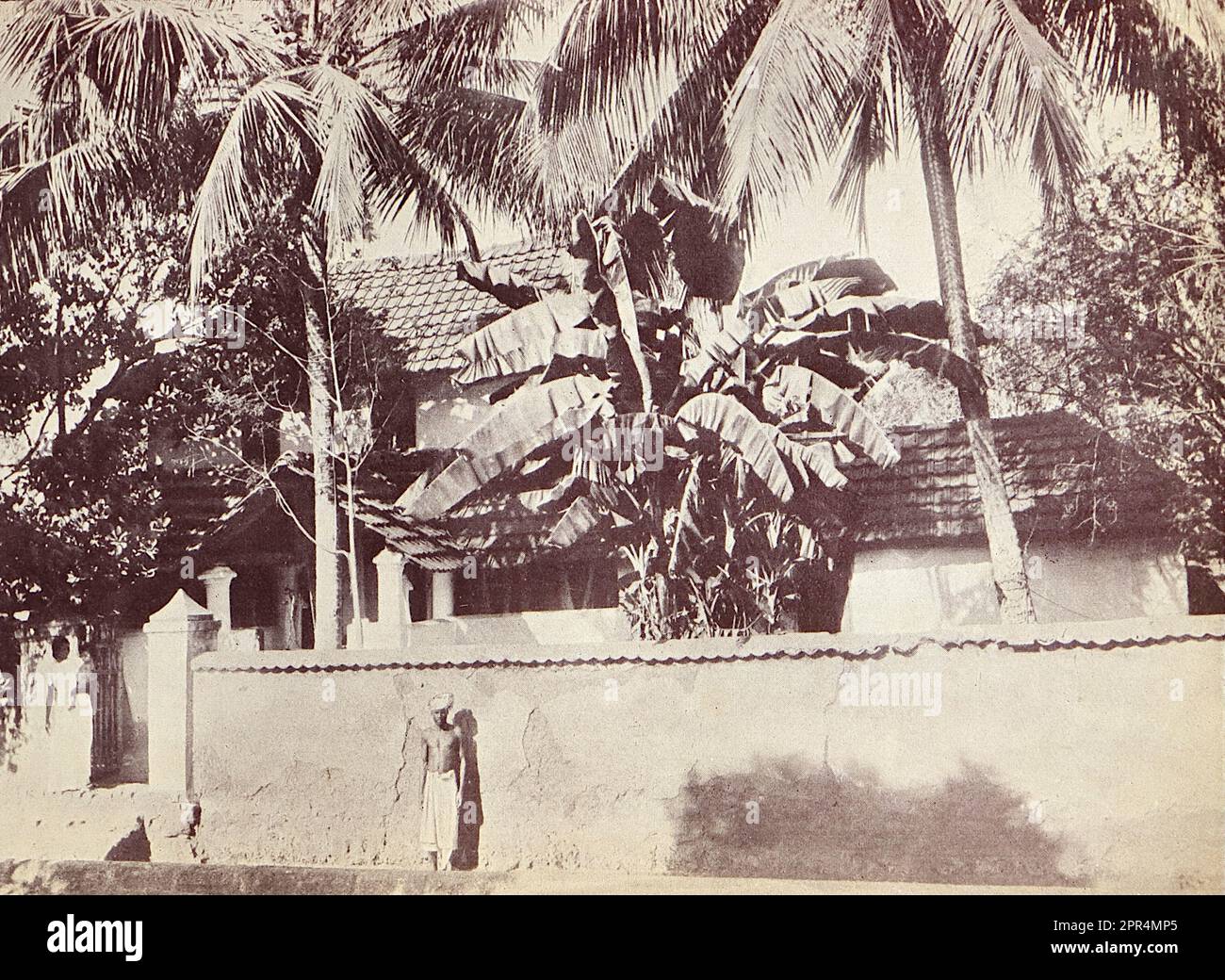 Das Neyoor-Kinderzimmer. Ein Gebäude, das von hohen Palmen überschattet ist. Halbtongravierung auf einem Foto von Mr. Penn aus Ootacamund (jetzt bekannt als OOTO), in der Region Tamil Nadu in Südindien, c1912. Das Bild bezieht sich auf das Kinderzimmer und das Gelände der Church of England Zenana Mission in Dohnavur, ebenfalls in Tamil Nadu und etwa 30 Meilen von der Südspitze Indiens entfernt. Das Gelände wurde von Amy Wilson-Carmichael betrieben und versuchte, das Christentum bei Babys und Kindern zu fördern (damals nur Mädchen, von denen viele Opfer der Tempelprostitution waren). Stockfoto