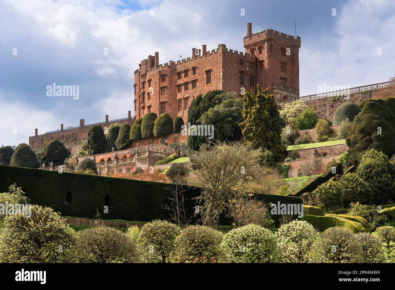 Powis Castle ist eine mittelalterliche Festung und ein großes Landhaus mit einem barocken Garten, hier mit Eibenbäumen und blühenden Äpfeln. Powys, Wales Stockfoto