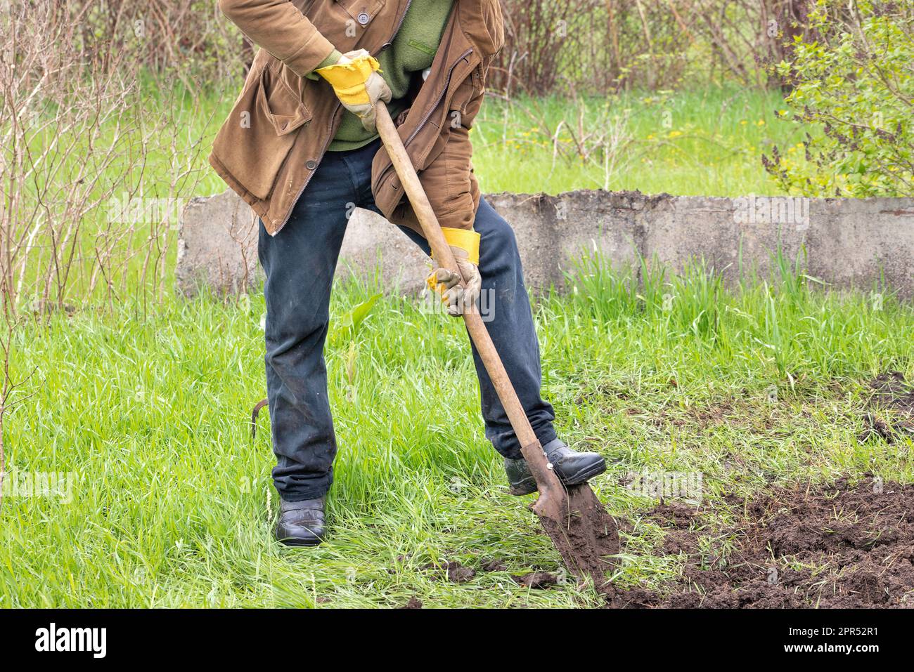 Gräbt sich aus Fotos und Bildmaterial in hoher Auflösung Alamy