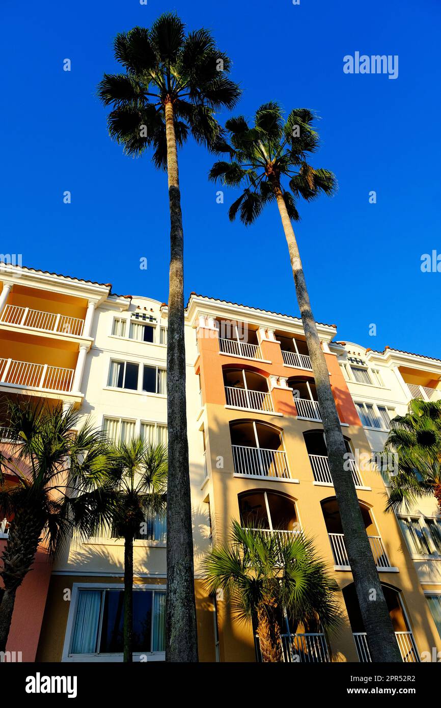 Abends hohe Palmen in tropischer Lage im Hotelgebäude des Resorts Stockfoto