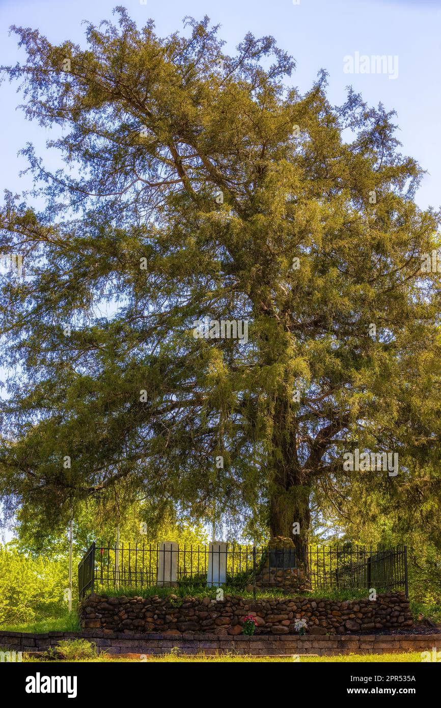 Benton, Tennessee, USA - 18. April 2023: Nanyehi Beloved Woman und politische Führerin der Cherokee, auch bekannt als Nancy ward by the English, Grave. Stockfoto