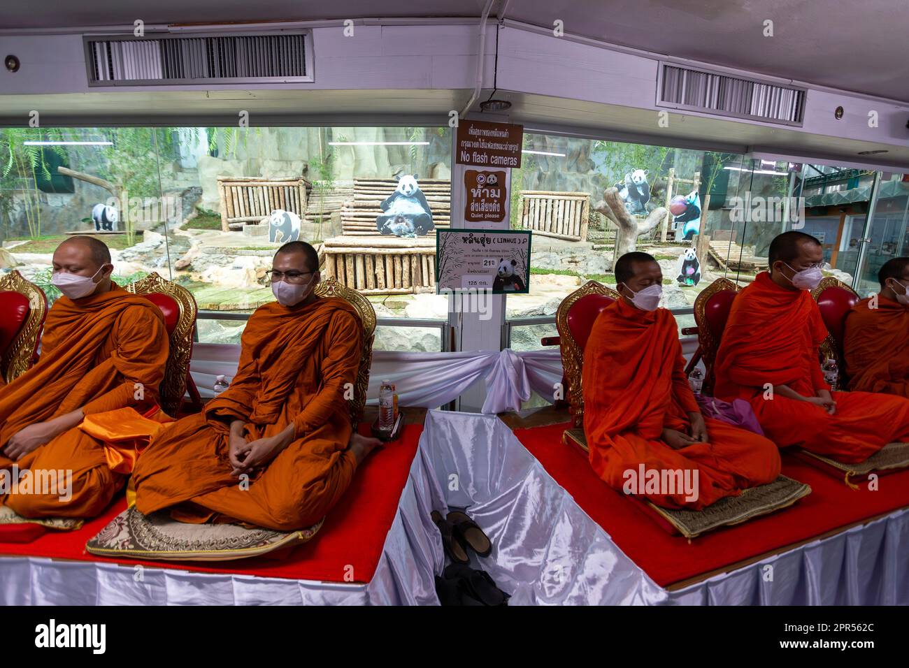 Thailändische buddhistische Mönche beten anlässlich des 7. Todestages von Lin Hui, der weiblichen Riesenpanda, die im Alter von 21 Jahren und 7months Jahren im Zoo von Chiang Mai verstarb. „Lin Hui“ ist die Pandafrau, eine thailändisch-chinesische Botschafterin für guten Willen, die China seit 20 Jahren nach Thailand entsandt, sowie männliche Pandas mit dem Namen „Chuang Chuang“ im Rahmen von Projekten der Forschungszusammenarbeit und der Erhaltung von Pandas. Stockfoto