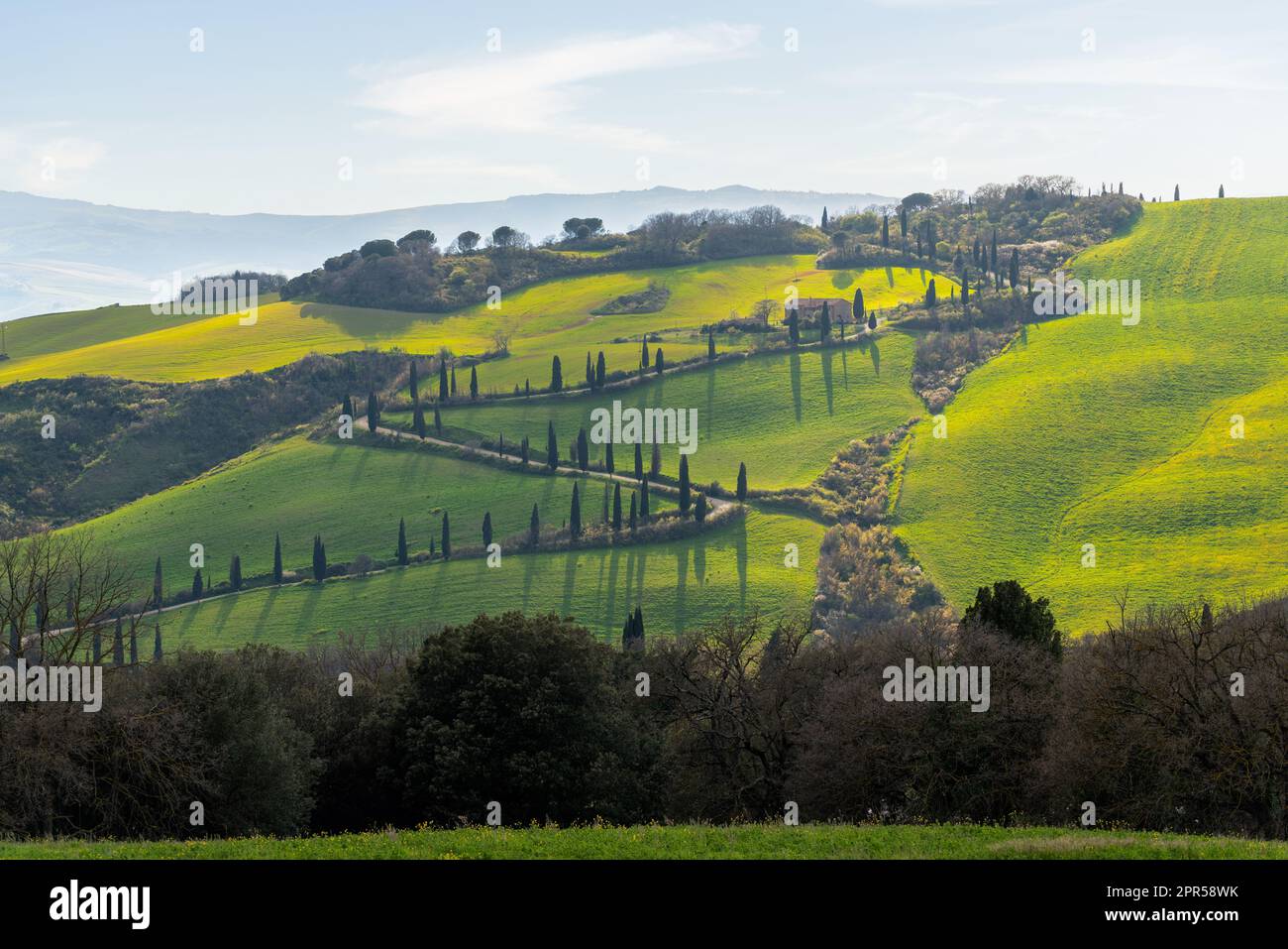 Toskana, grüne Landschaft im Frühling. Italien Stockfoto