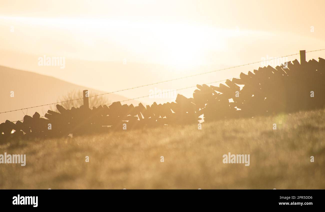 Sonnenaufgang auf dem Land des English Peak District, eine Dystonwand bei Anbruch des Sonnenlichts, von der Sonne beleuchtet mit ein wenig Nebel in der Luft im Winter. Stockfoto