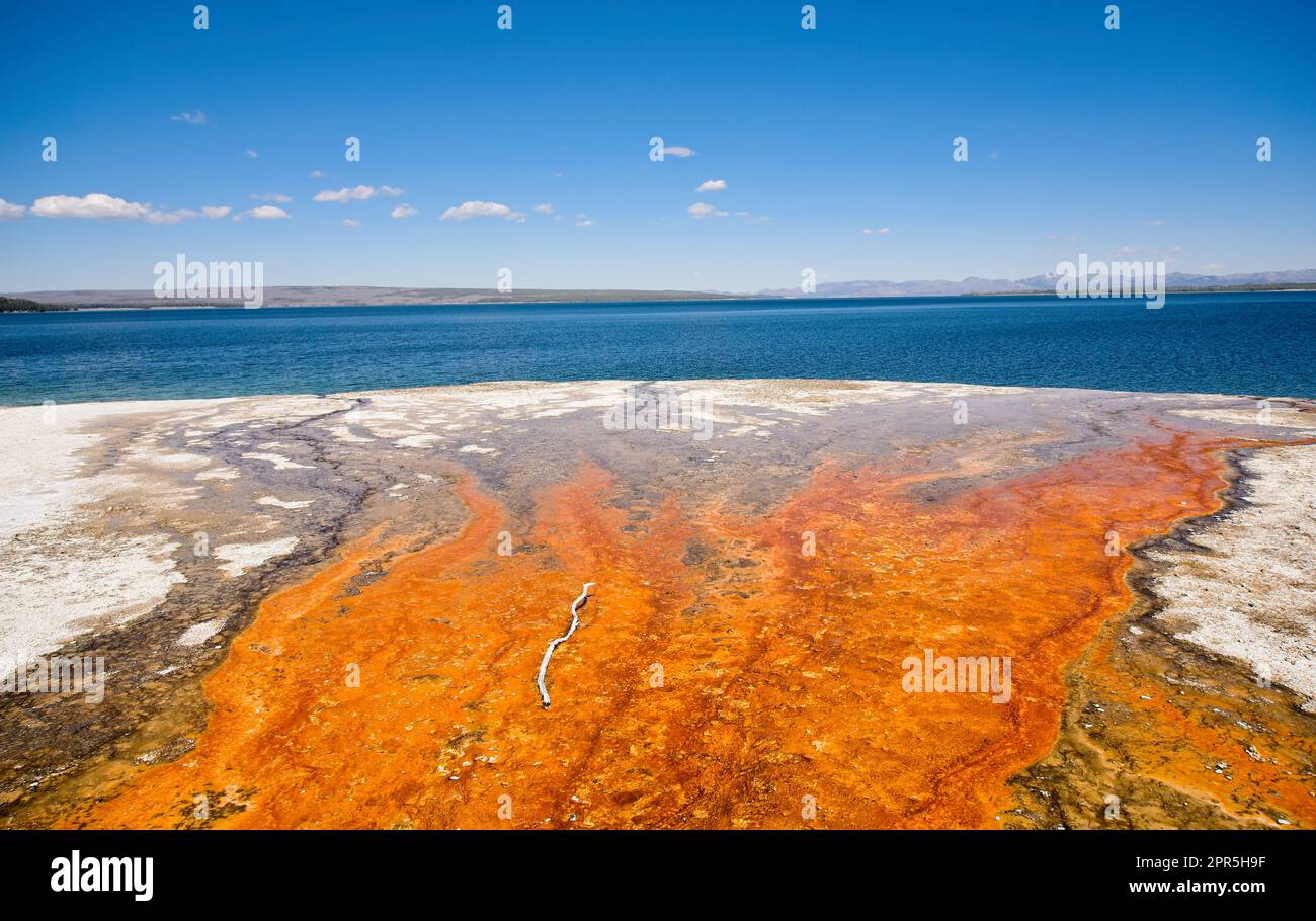 Farbenfroher Abfluss von einer Thermalquelle in den Yellowstone Lake im Yellowstone National Park Stockfoto