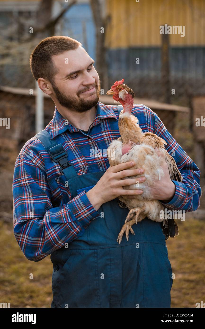 Ein hübscher Bauer, der ein europäisches weißes Landporträt auf dem Land mit Bart, Hemd und Overall lächelt, sieht Hühnchen mit weißem Hals in den Armen an Stockfoto