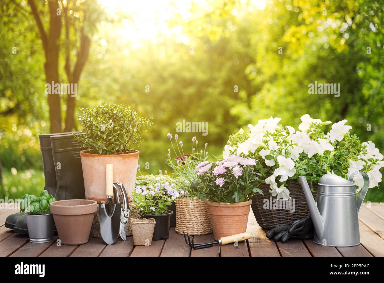 Verschiedene blühende Topfblumen und Kräuter, Gartengeräte und Werkzeuge Stockfoto