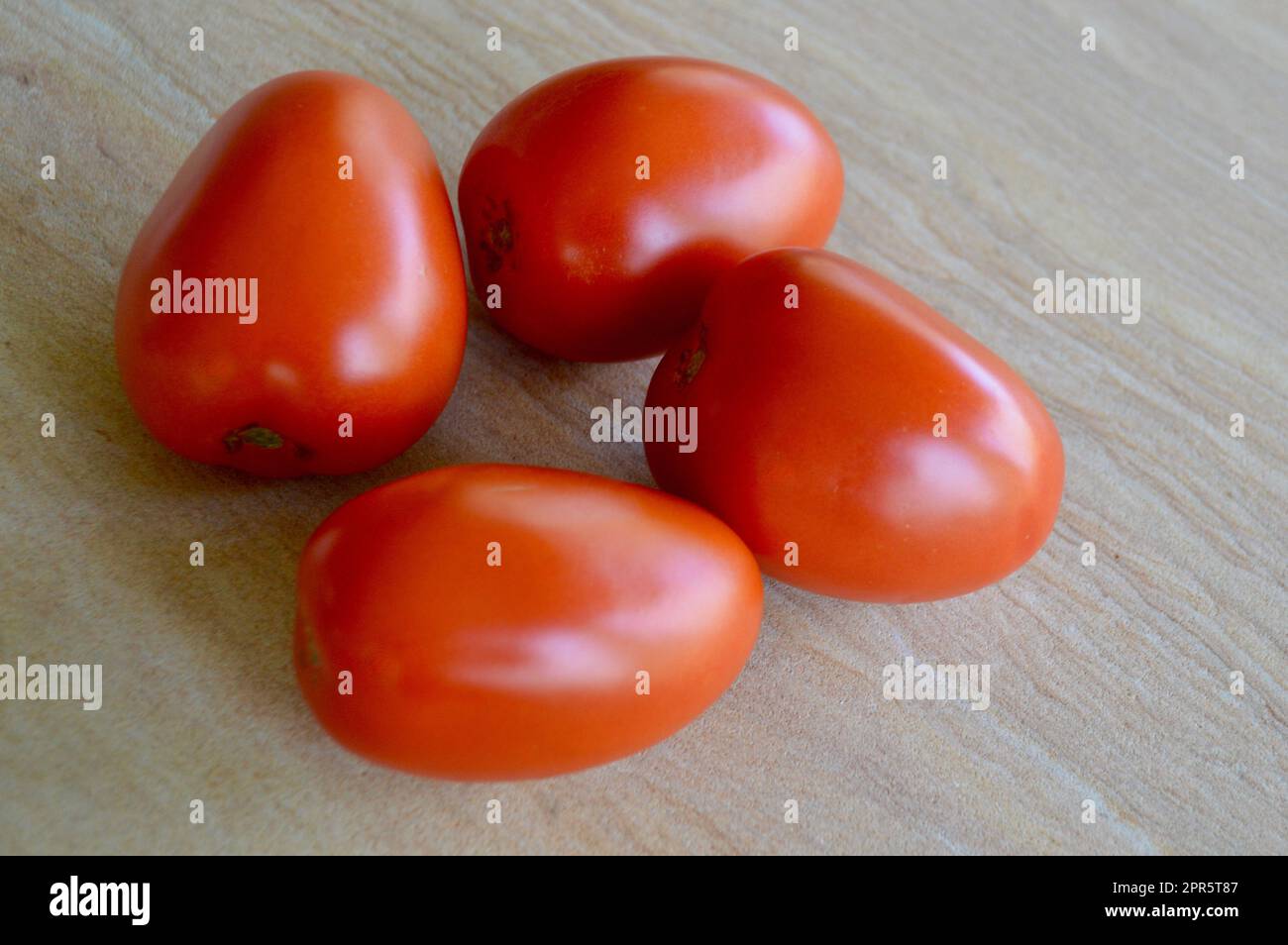 Roma-Tomaten auf einem einfachen Hintergrund Stockfoto