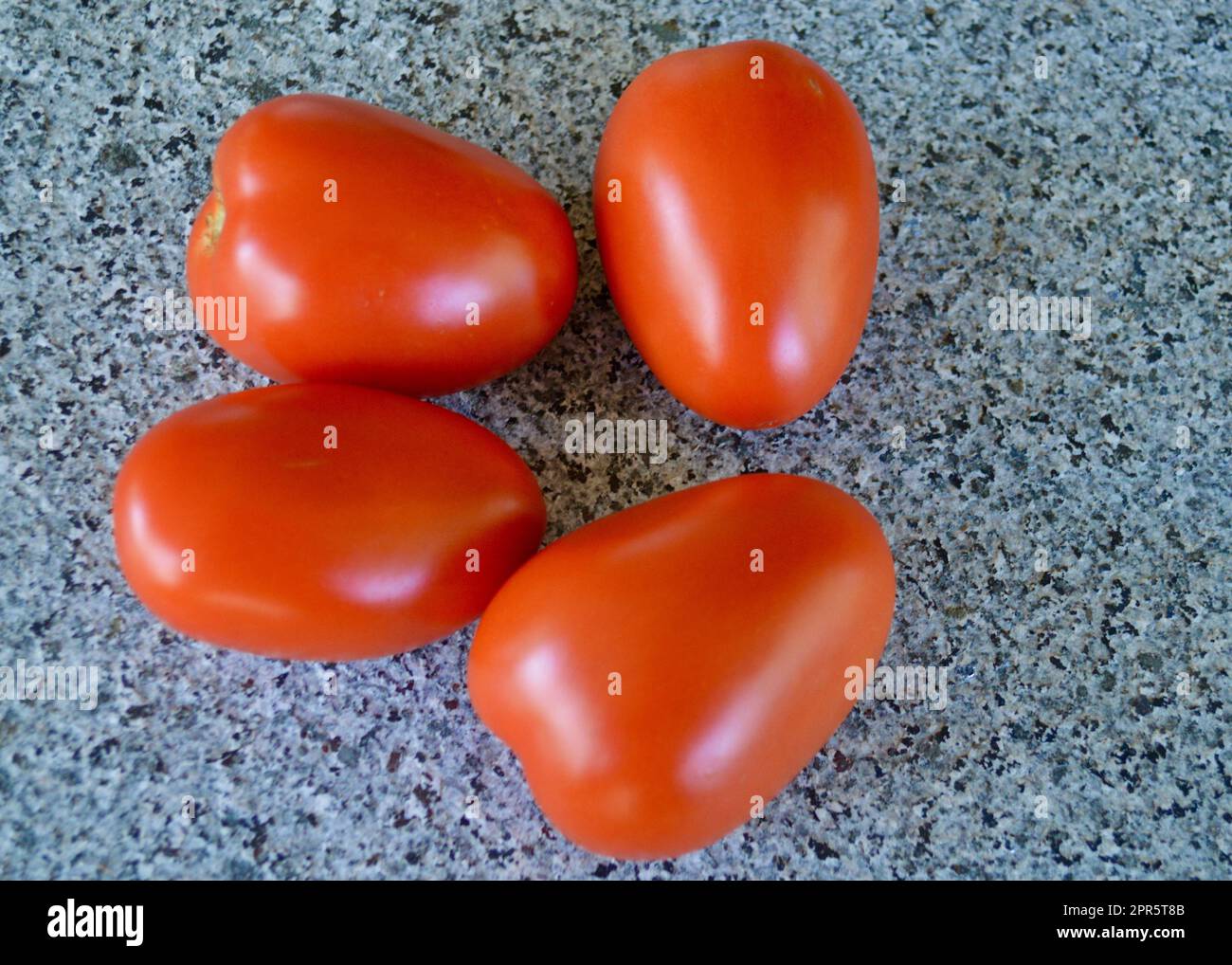 Roma-Tomaten auf einem einfachen Hintergrund Stockfoto