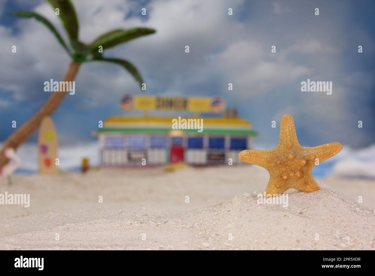 Seashell am tropischen Strand mit Diner im Hintergrund und Blue Sky Stockfoto