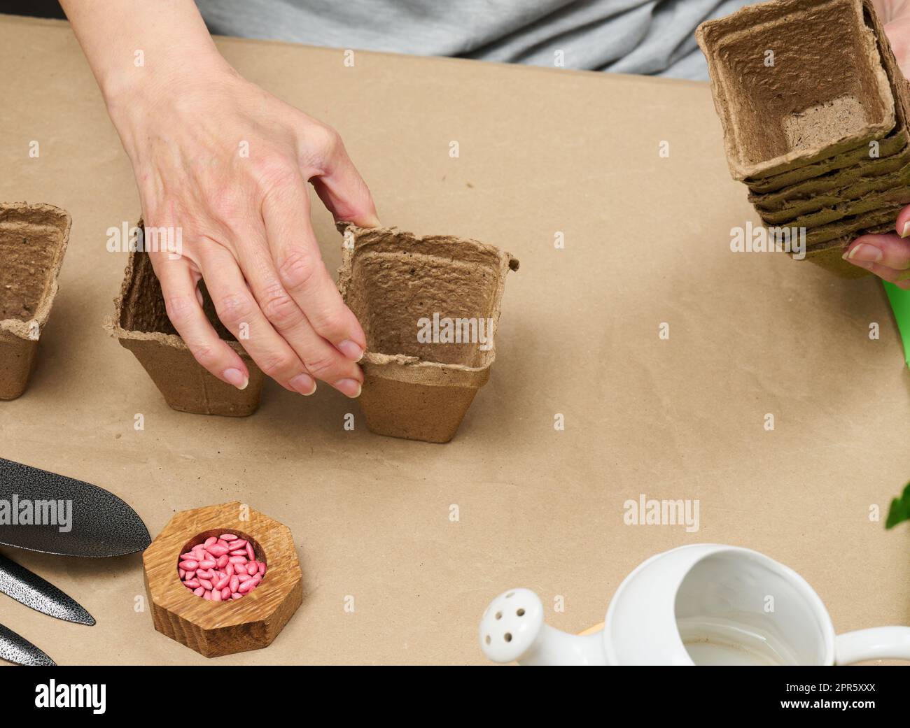 Frau zu Hause mit Pappbechern zum Pflanzen von Pflanzen und Gemüse. Hobby und Freizeit Stockfoto