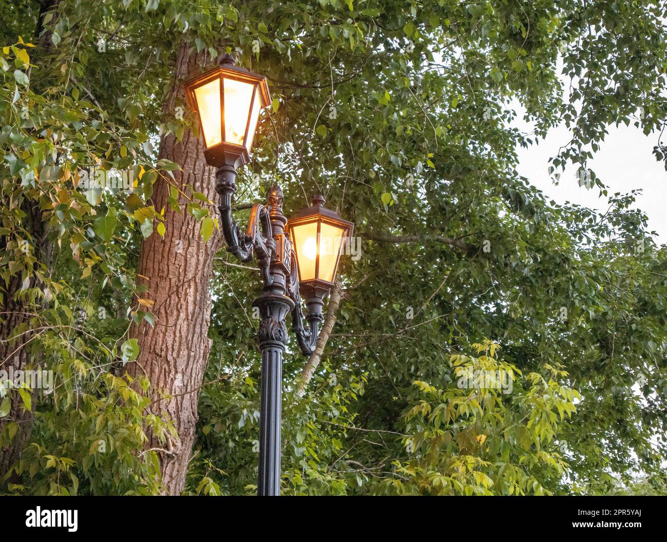 Im Frühling befinden sich im Park zwei wunderschöne Straßenlaternen auf einem schmiedeeisernen Retromast vor dem Hintergrund grüner Bäume, draußen am Abend Stockfoto