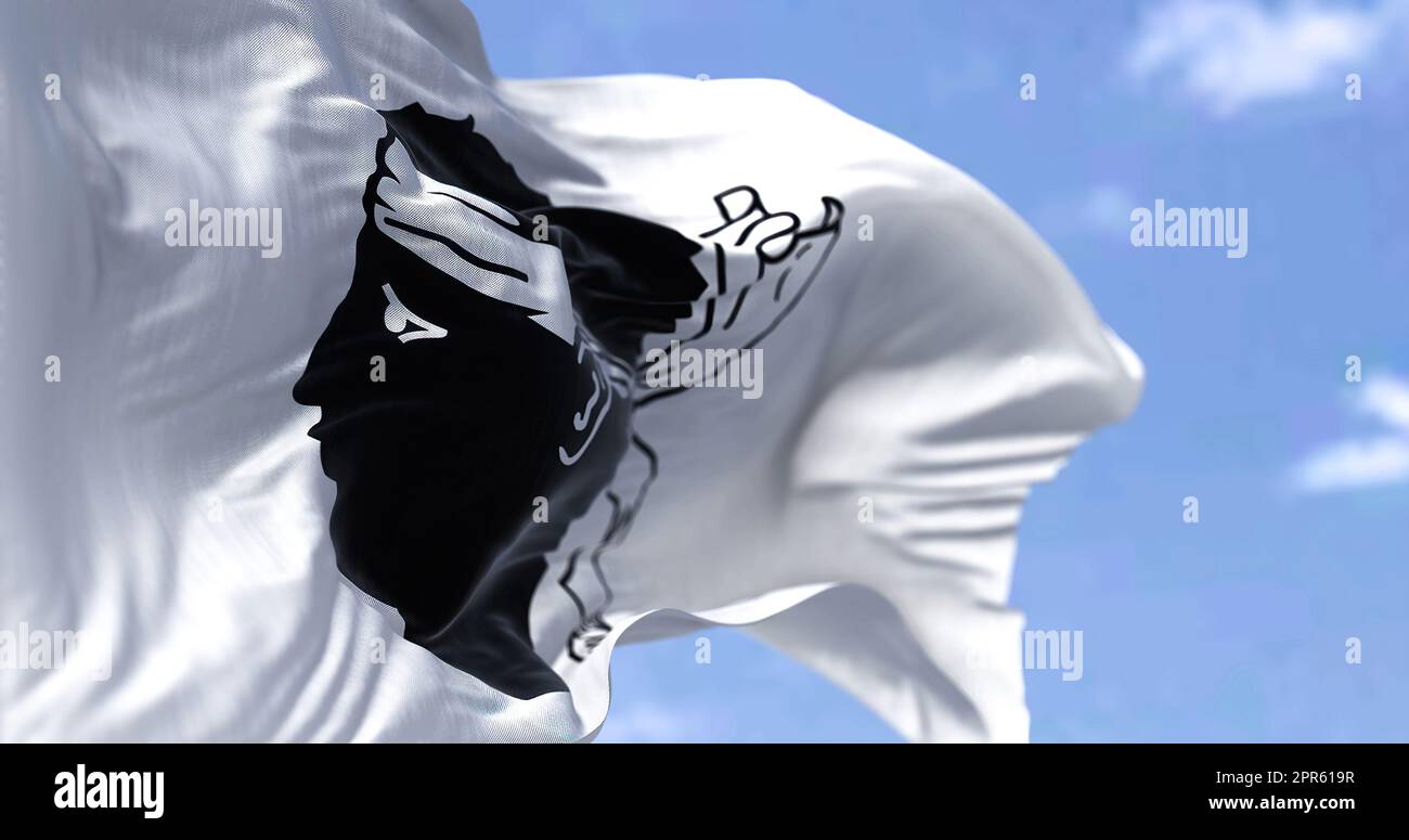 Die Flagge Korsikas winkt an einem klaren Tag im Wind Stockfoto