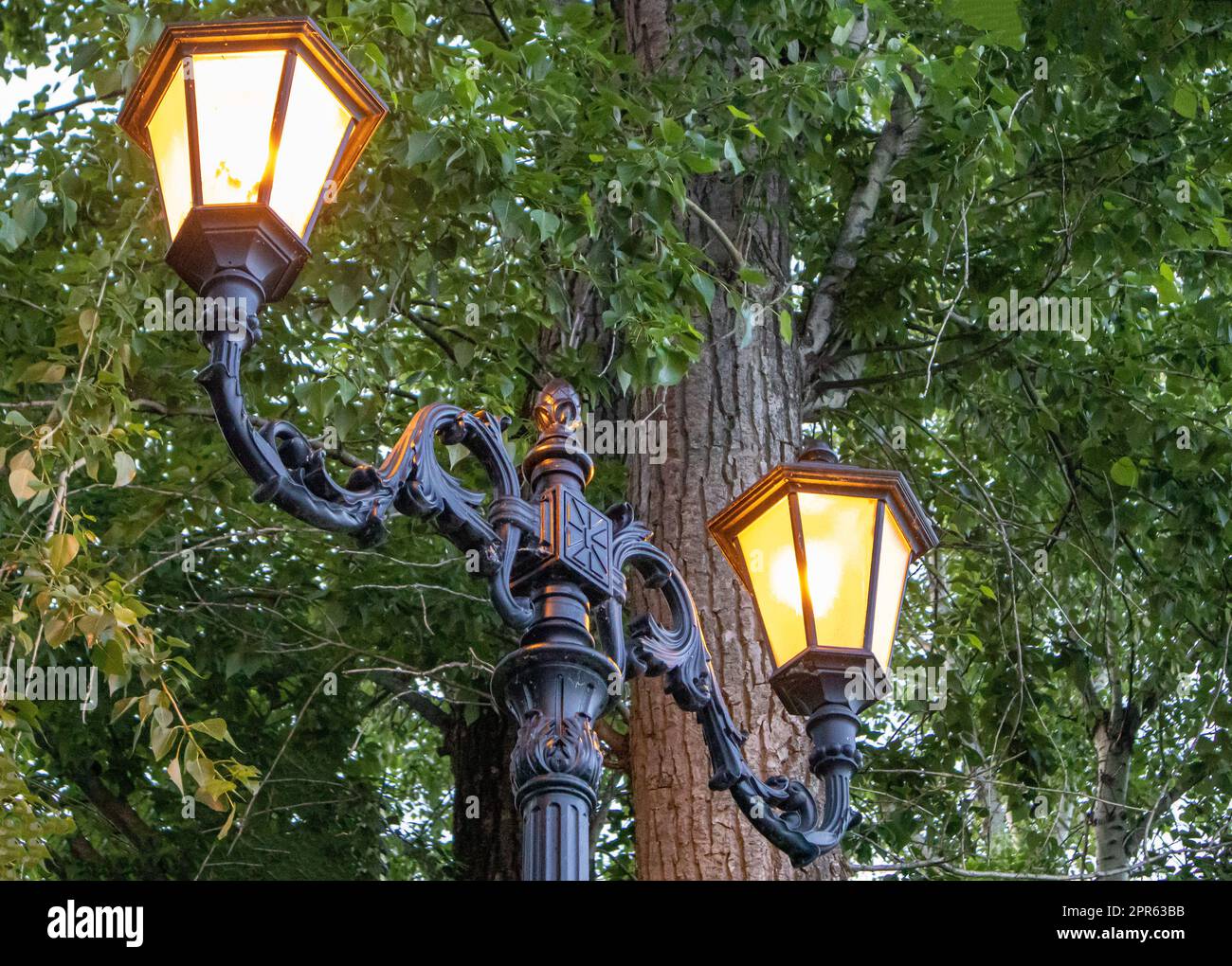 Im Frühling befinden sich im Park zwei wunderschöne Straßenlaternen auf einem schmiedeeisernen Retromast vor dem Hintergrund grüner Bäume, draußen am Abend Stockfoto