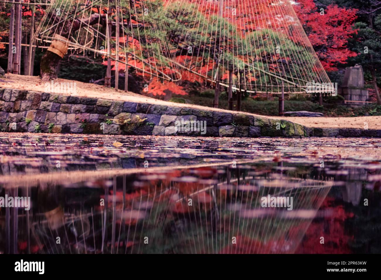 Bild der Herbstblätter eines japanischen Gartens Stockfoto