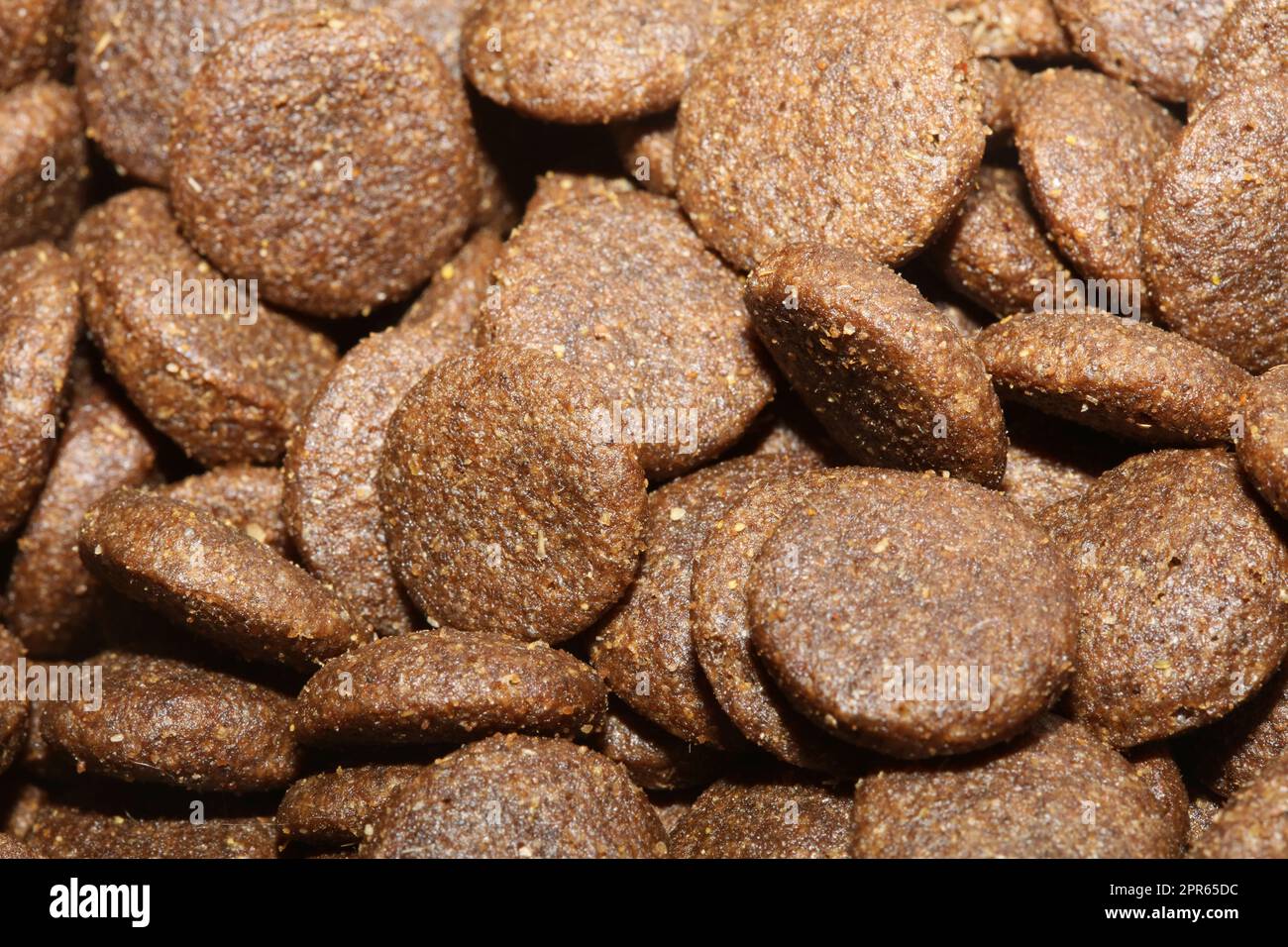 Hunde trocknen rundes Essen aus nächster Nähe Tiere, die Hintergrund essen, hochwertiger Großdruck Stockfoto