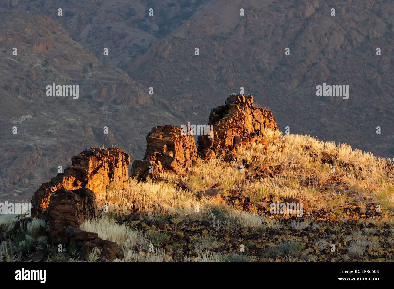 Landschaftlich reizvolle Wüstenlandschaft - Brandberg Stockfoto