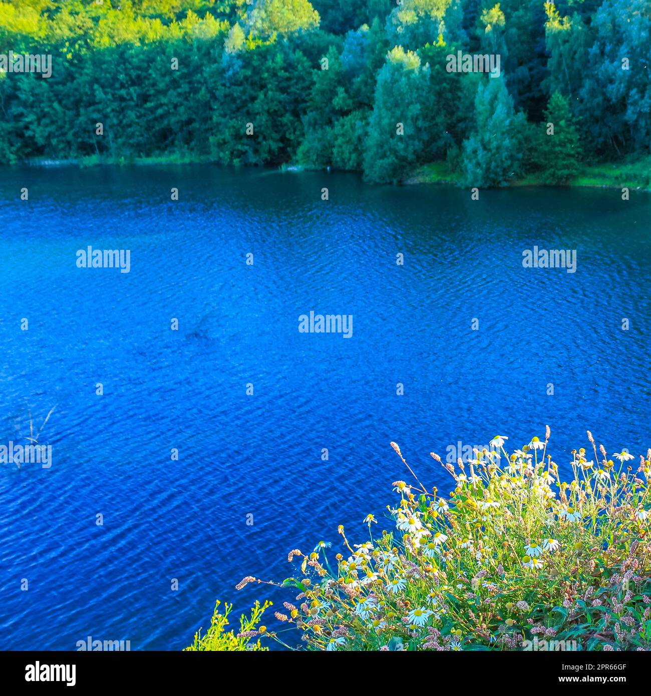 Schöner Steinbruch See Ausbaggerteich See blaues türkisfarbenes Wasser Deutschland. Stockfoto