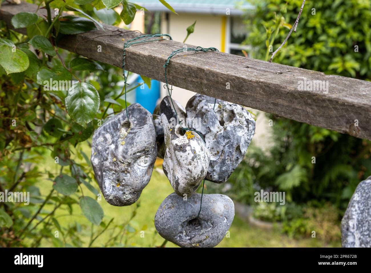 Steine oder Hühnergötter hängen an einem Seil im Freien Stockfoto