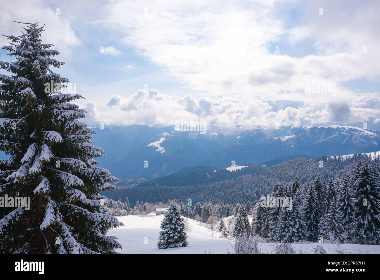 Winterlandschaft mit Schnee vom Asiago-Berggebiet Stockfoto