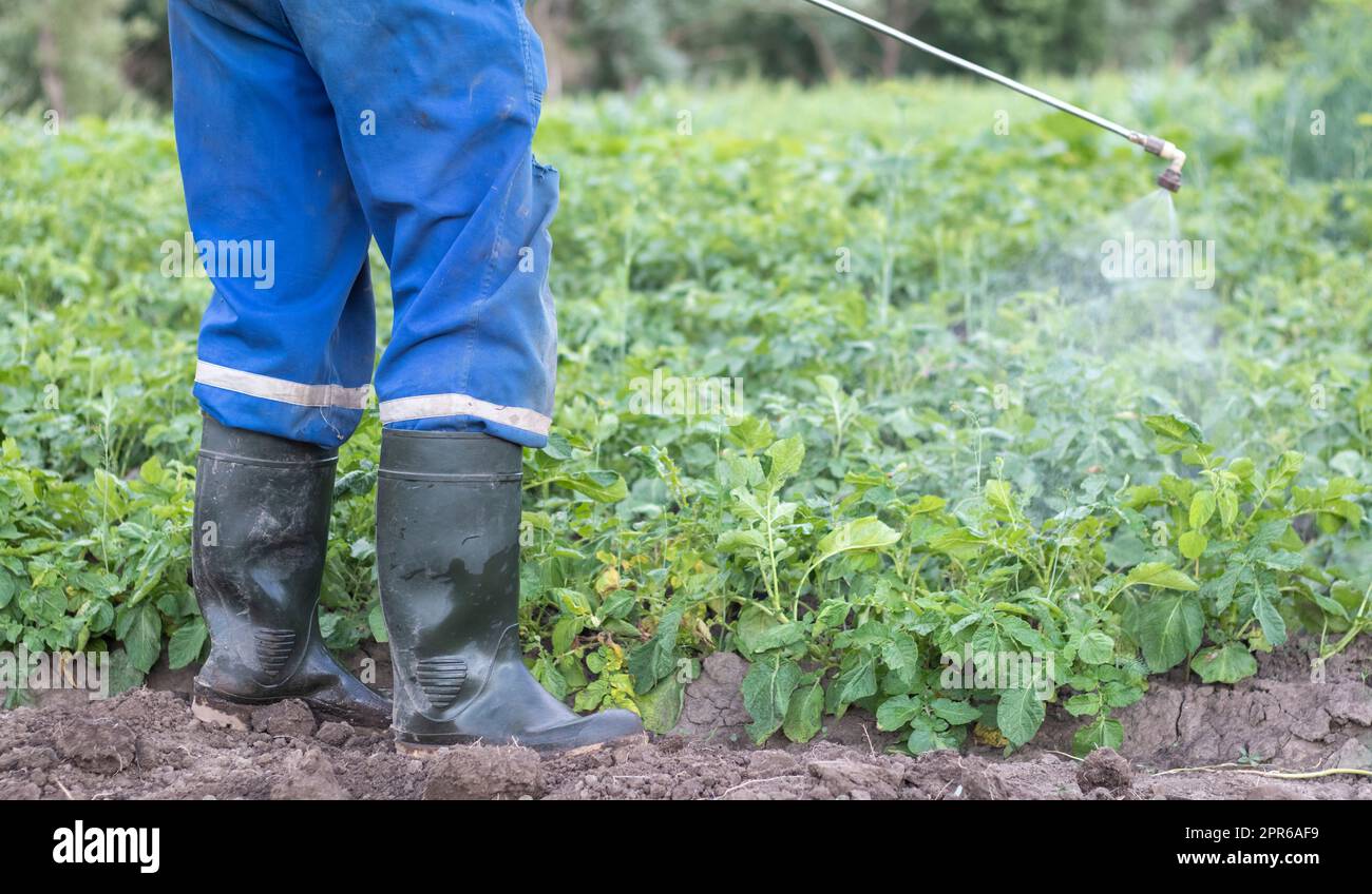 Applying insecticides Fotos und Bildmaterial in hoher Auflösung Alamy