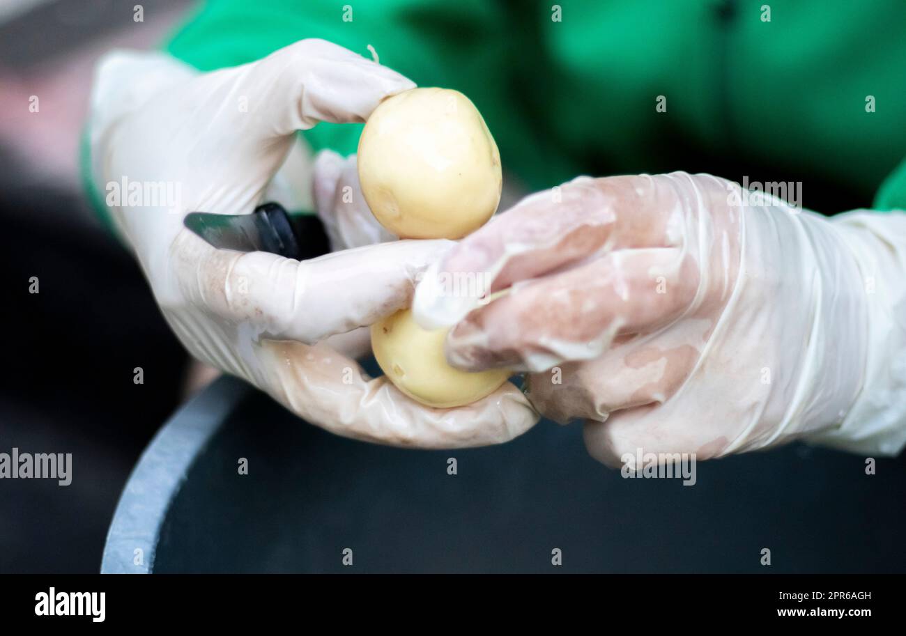 Die Hände der Frau in weißen Handschuhen schälen rohe neue Kartoffeln, Nahaufnahme. Reinigung von Bio-Kartoffeln. Detail der weiblichen Hände, die frische gelbe Kartoffel mit Kitc schälen Stockfoto