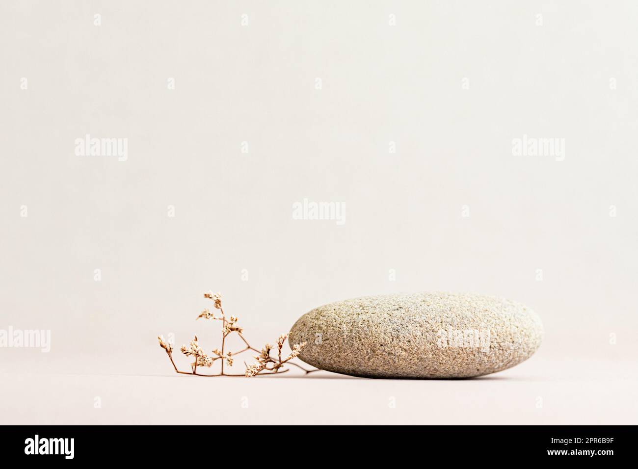 Hintergrund für kosmetische Produkte von natürlichen beigen Farbe. Stein Podium und trockene Blume Stockfoto