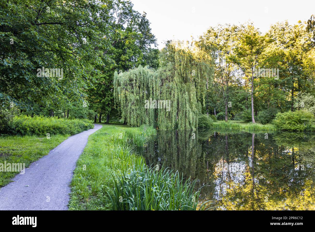 Park in einem ruhigen Ort zum Ausruhen mit einem Teich. Sommer in der Stadt Stockfoto