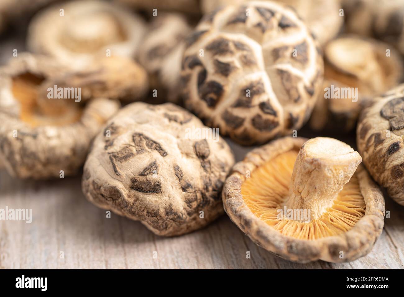 Getrockneter Shiitake-Pilz auf Holzgrund. Gesunde Ernährung. Stockfoto