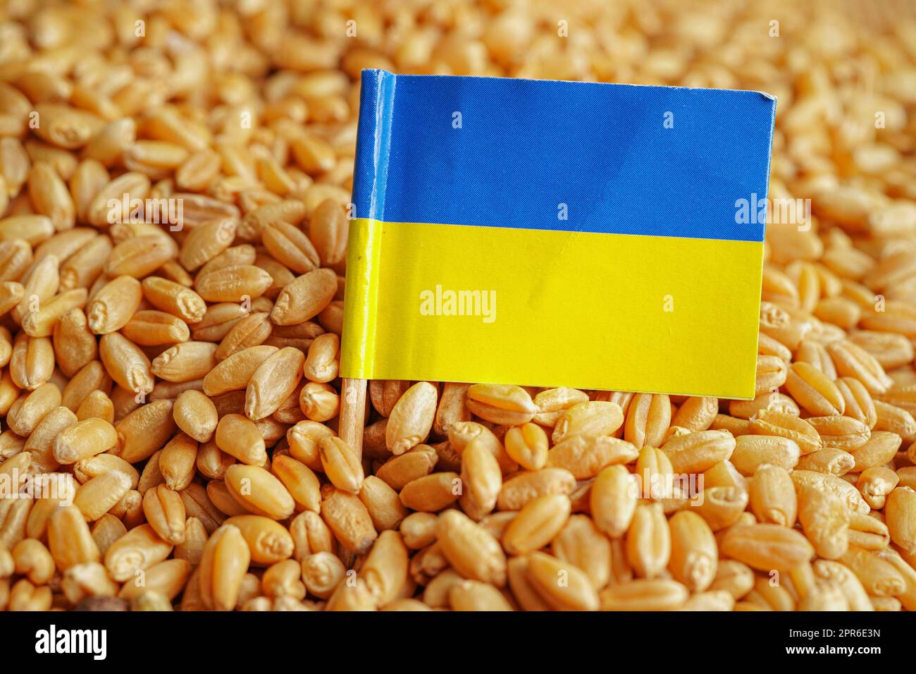 Die Ukraine zu Getreideweizen, Handelsexport und Wirtschaftskonzept. Stockfoto