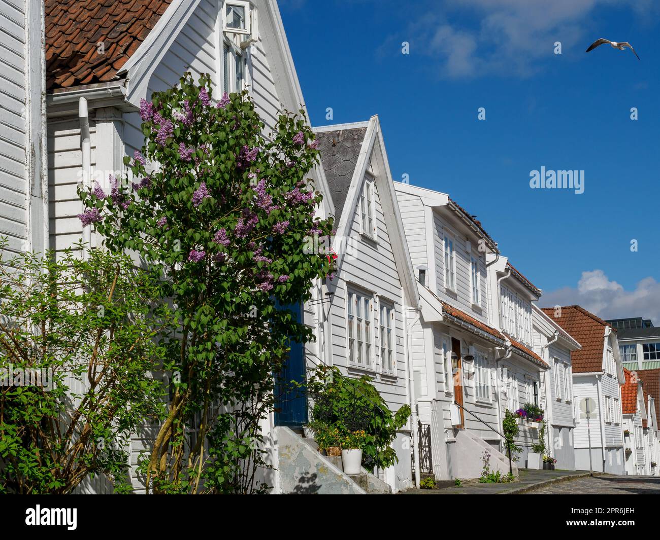 Stavanger Stadt in Norwegen Stockfoto