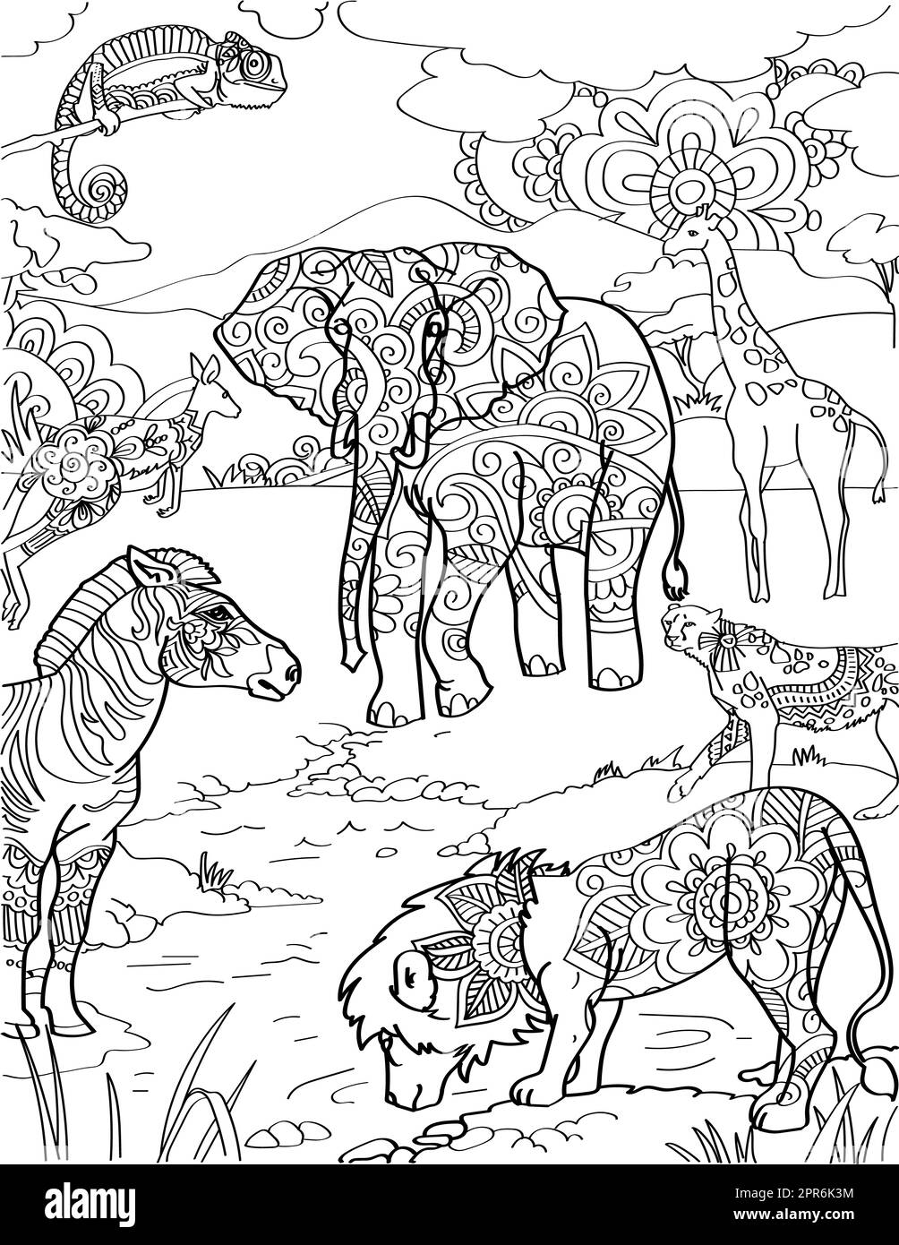 Verschiedene Tiere Neben Dem Lion Zebra-Känguru-See. Stockfoto
