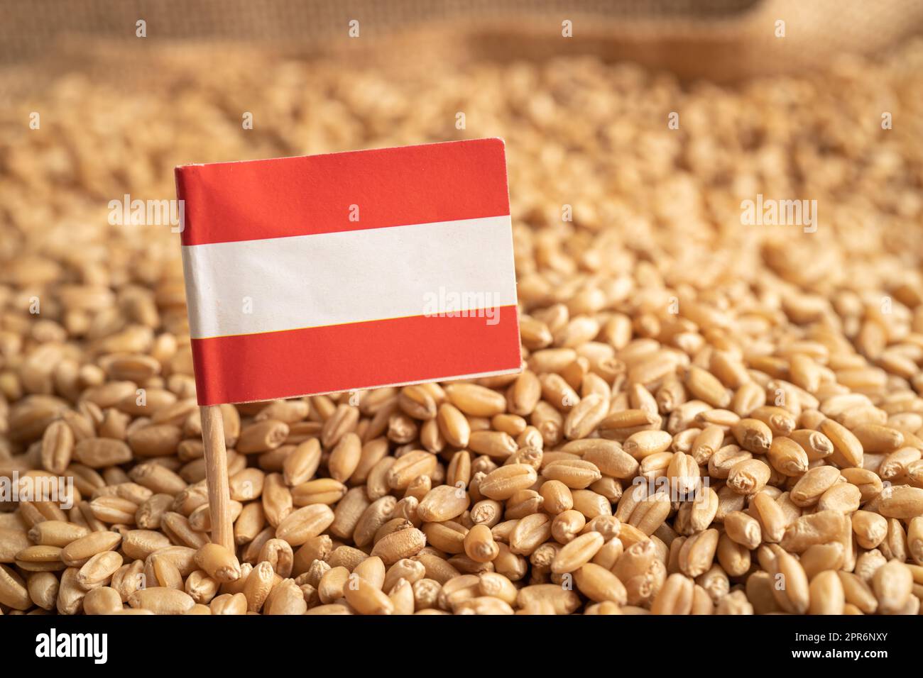 Getreide Weizen mit Österreich-Flagge, Handelsexport und Wirtschaftskonzept. Stockfoto