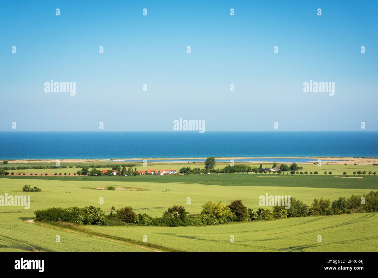 Blumenwiesen vor dem Ostseefjord in Deutschland Stockfoto