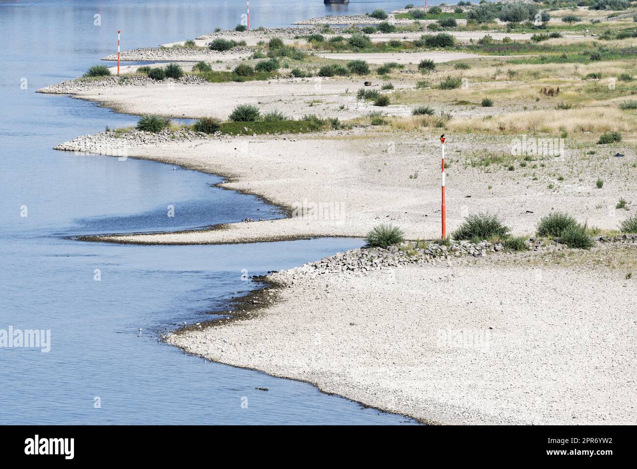 Groynes am rhein bei köln bei Niedrigwasser Stockfoto