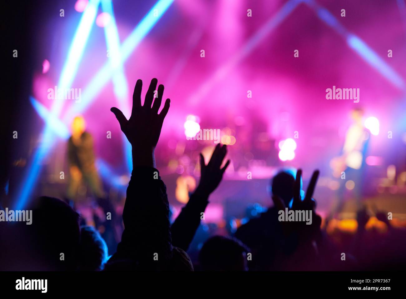 Sie lieben Rock n Roll. Rückansicht einer Menge, die eine Live-Musikaufführung genießen kann. Stockfoto