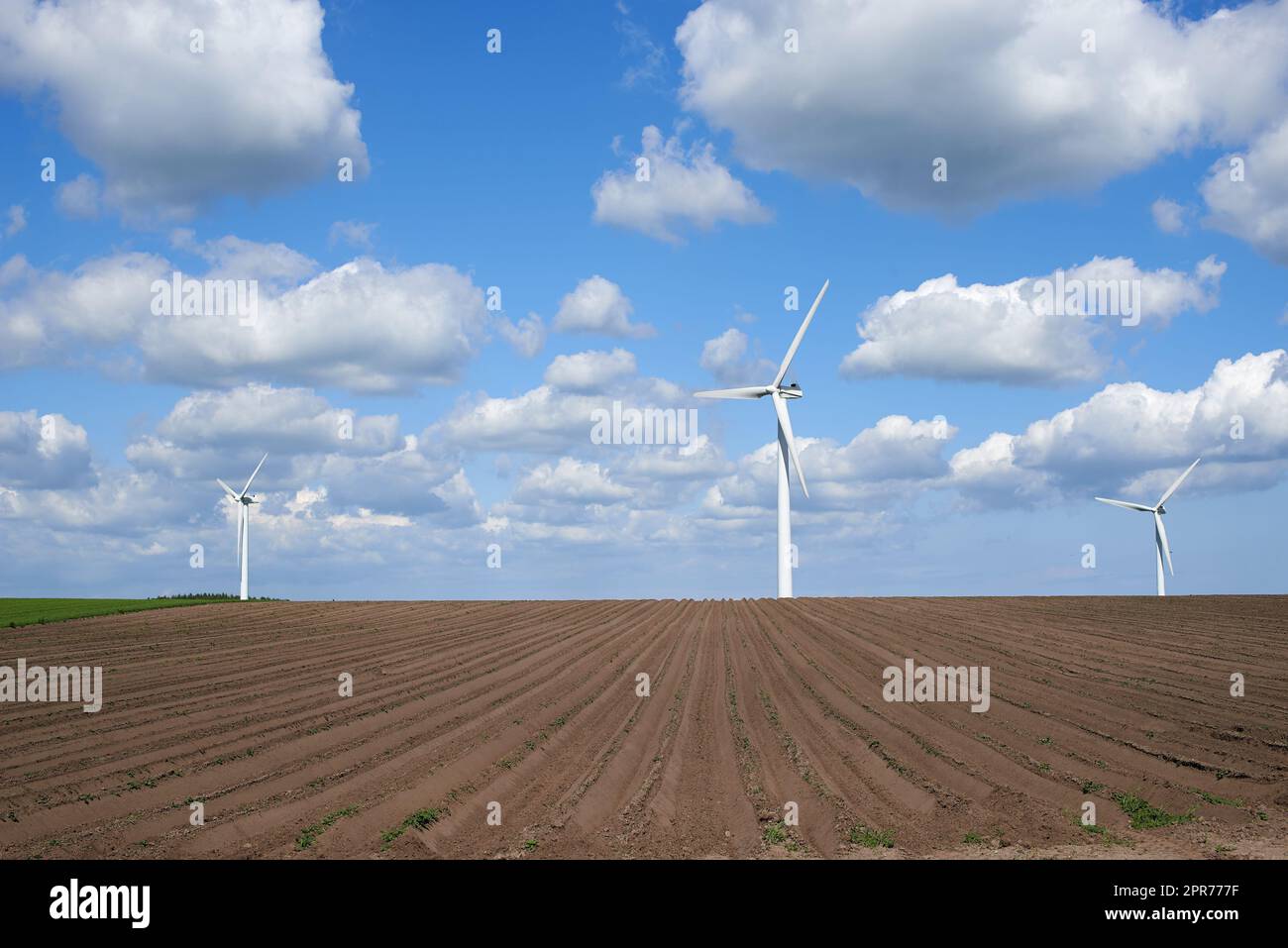 Windturbinen und Umweltinfrastruktur isoliert gegen blauen Himmel mit Kopierraum auf einem leeren Energiefarm. Propeller, die nachhaltige Energie in elektrische Energie in abgelegenen und ländlichen Gebieten umwandeln Stockfoto