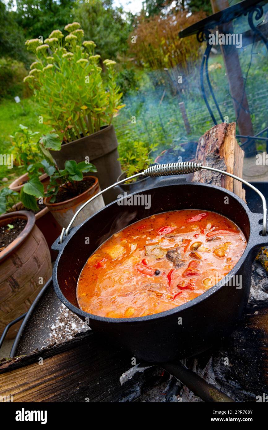 Über einem offenen Feuer wird Wassergulasch zubereitet! Stockfoto