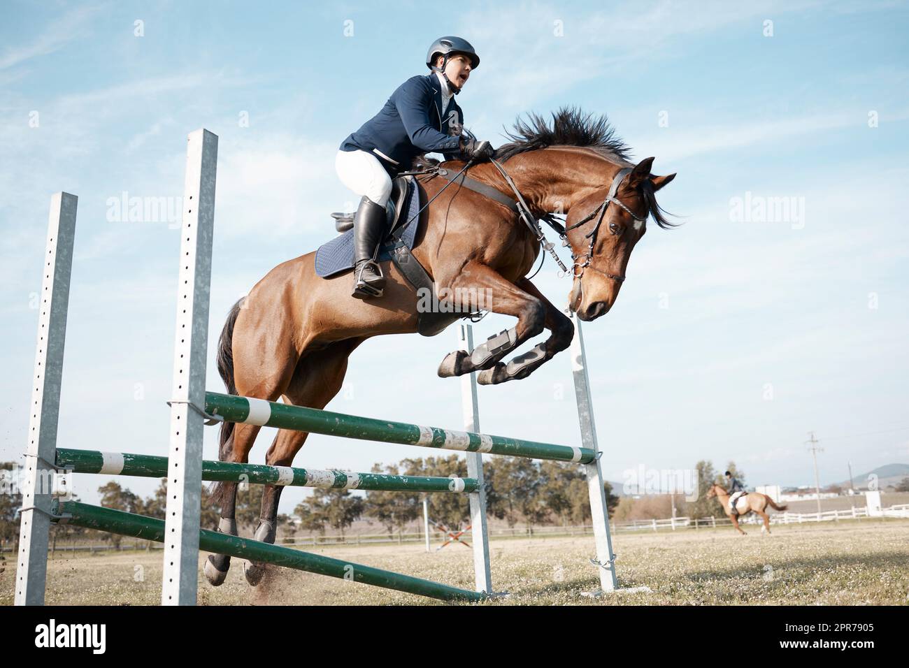 Auf und ab. Ganzkörperaufnahme einer jungen Reiterin, die auf ihrem Pferd über eine Hürde springt. Stockfoto