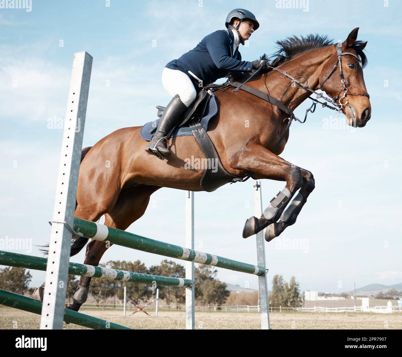 Hindernisse leicht zu überwinden. Ganzkörperaufnahme einer jungen Reiterin, die auf ihrem Pferd über eine Hürde springt. Stockfoto