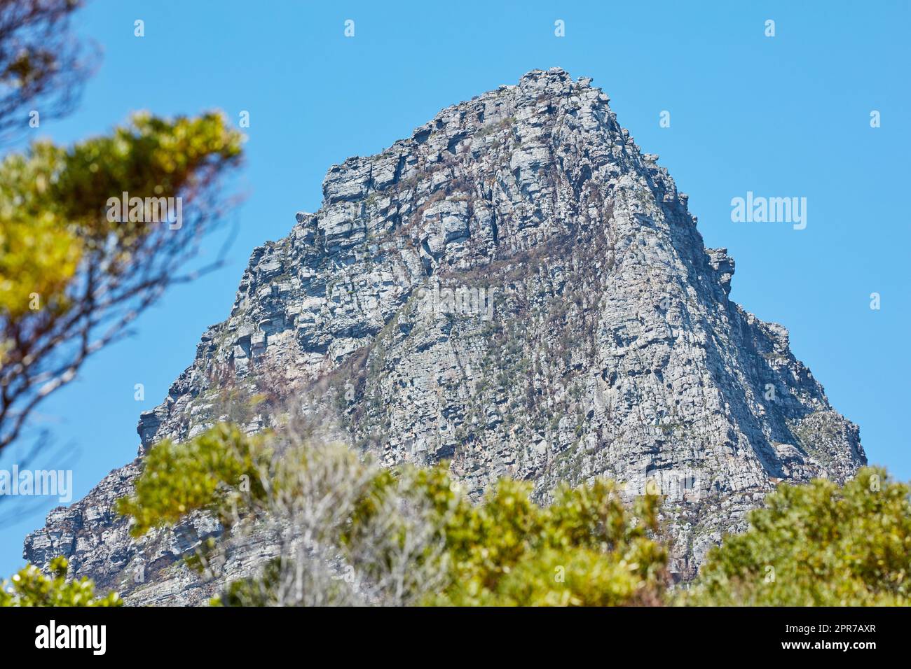 Zwölf Apostel am Tafelberg in Kapstadt vor einem blauen Hintergrund von unten. Atemberaubender Blick auf Pflanzen und Sträucher, die um ein majestätisches felsiges Tal wachsen und ein landschaftliches Wahrzeichen in der Natur sind Stockfoto