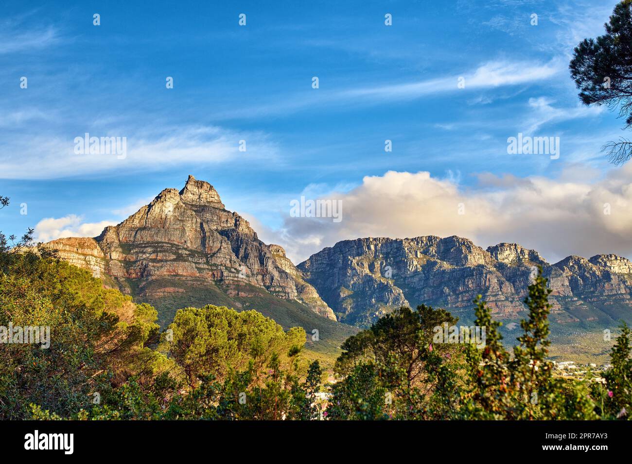 Kopieren Sie den Raum mit einer malerischen Landschaft mit bewölktem Himmel, die den Gipfel des Tafelbergs in Kapstadt an einem sonnigen Morgen von unten bedeckt. Wunderschöne Aussicht auf Pflanzen und Bäume rund um ein berühmtes Naturdenkmal Stockfoto