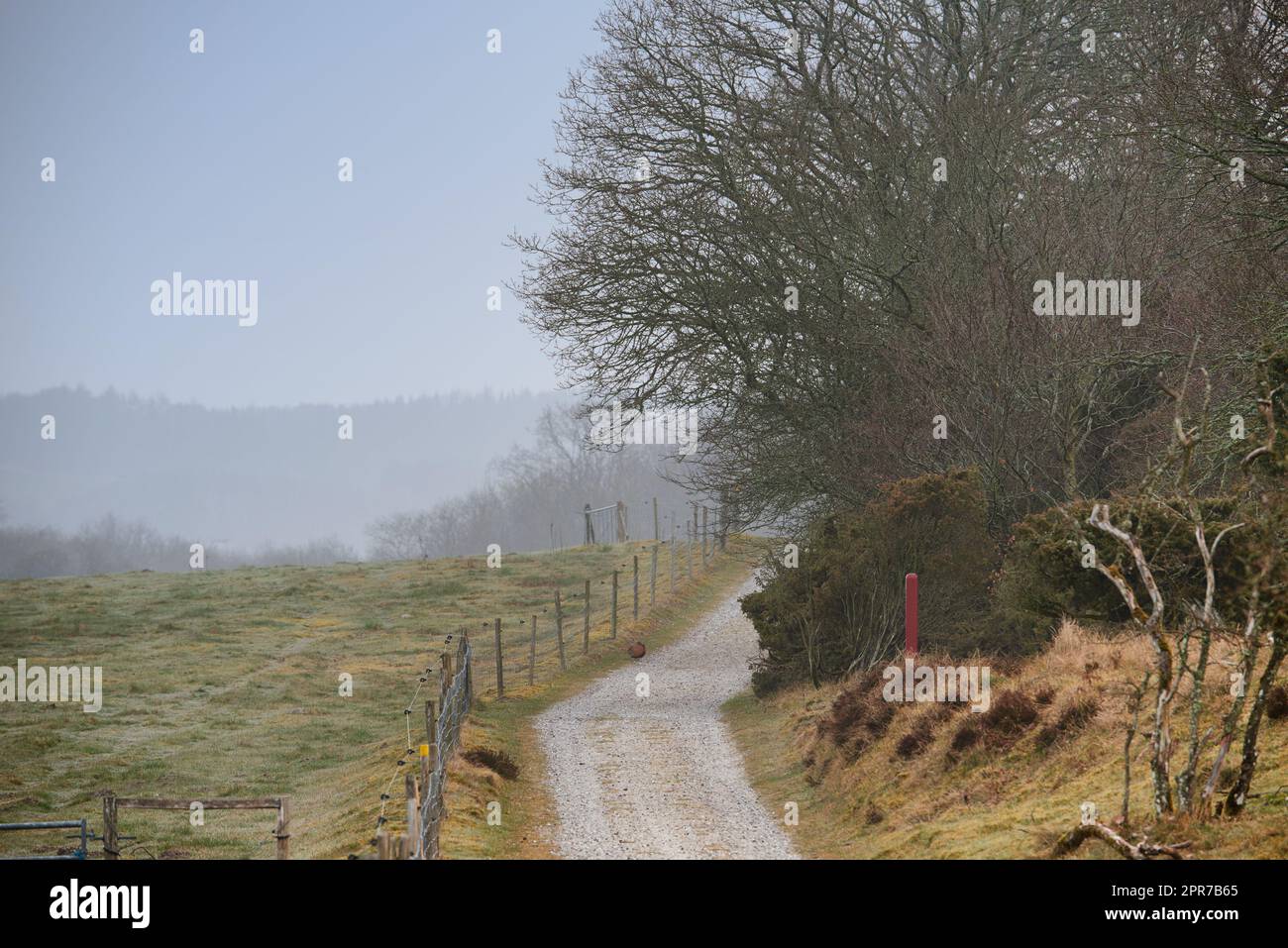 Eine unbefestigte Landstraße, die am frühen Morgen mit Nebel oder Nebel in entlegene Gebiete führt. Landschaftsblick auf ruhige, malerische und mystische Wiesen in Deutschland Stockfoto